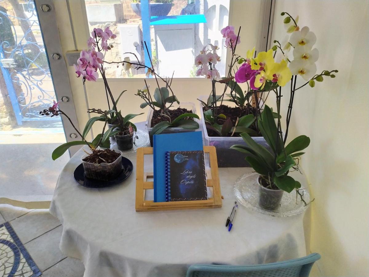 B&B Luna Blu Carbonia Eksteriør bilde