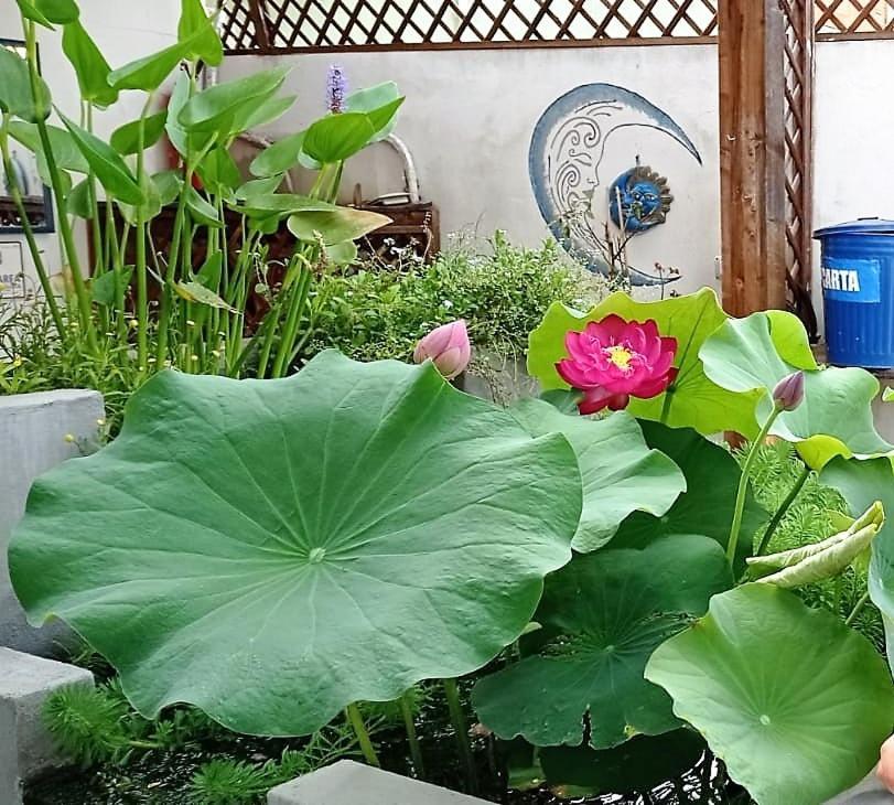 B&B Luna Blu Carbonia Eksteriør bilde